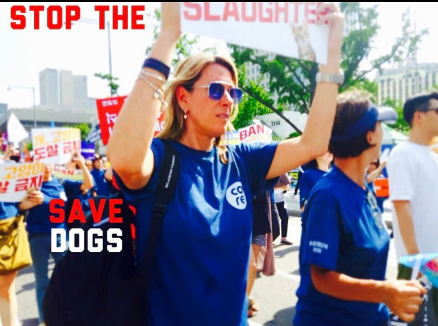 Shelly Fitzpatrick, End Dog Meat Trade, The Animal Activist